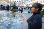 resIMG_20171123_130542_9187.JPG